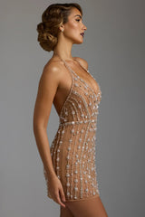 Hand Embellished Sheer Mini Dress In Almond
